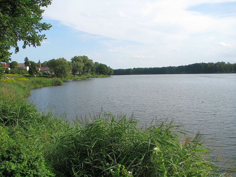 Plik:Jezioro-zlotowskie-miejskie-rg2.jpg
