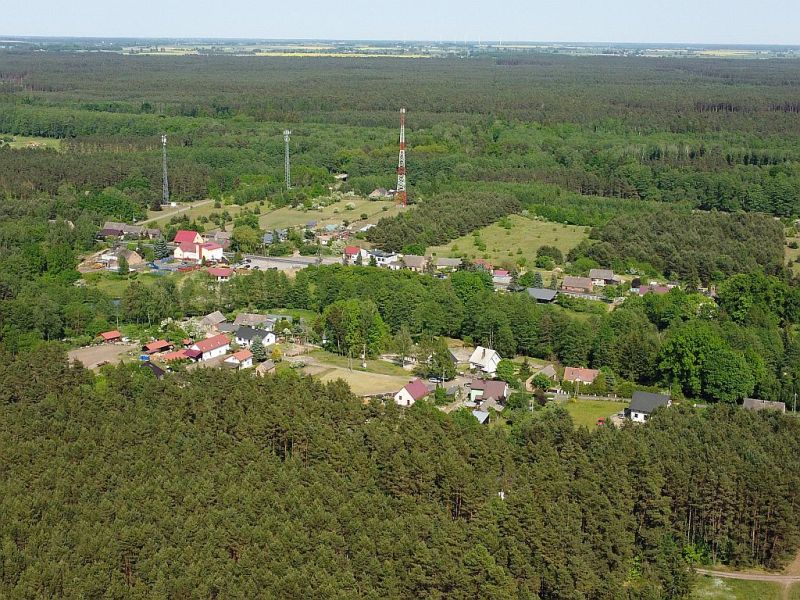Plik:Dron-plytnica-2rg.jpg
