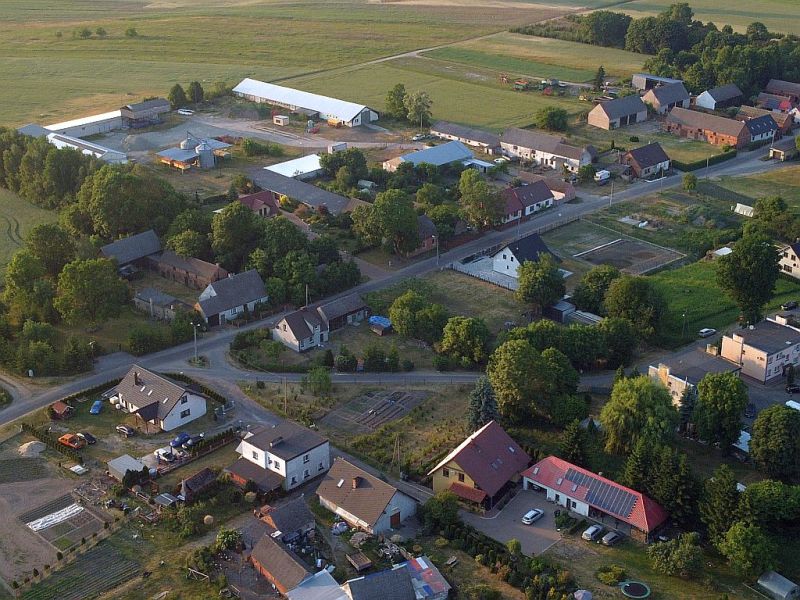 Plik:Dron-osowka-5rg.jpg