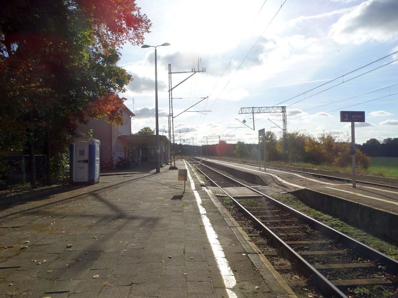 Plik:Pkp-okonek5rg.jpg