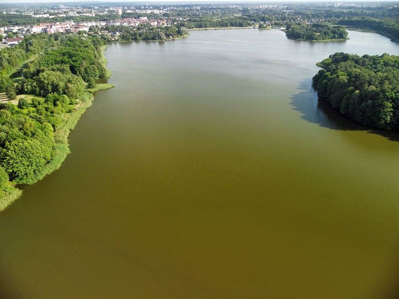 Plik:Dron-zalew-koszycki10rg.jpg