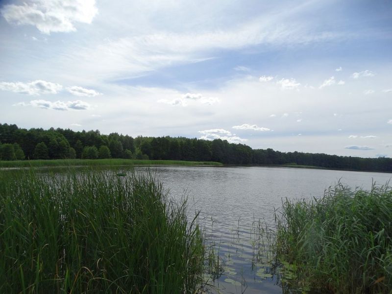 Plik:Jezioro-zlotowskie-miejskie-rg10.jpg