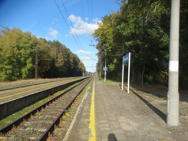 Plik:Pkp-okonek3rg.jpg