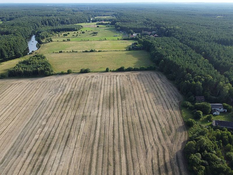 Plik:Dron-plytnica-15rg.jpg