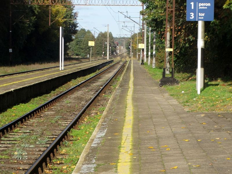 Plik:Pkp-okonek4rg.jpg