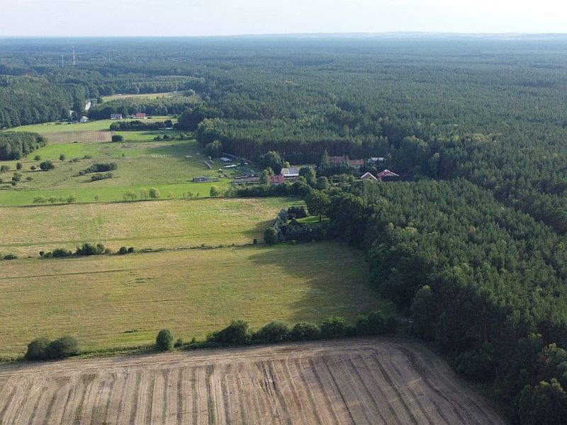 Plik:Dron-plytnica-16rg.jpg
