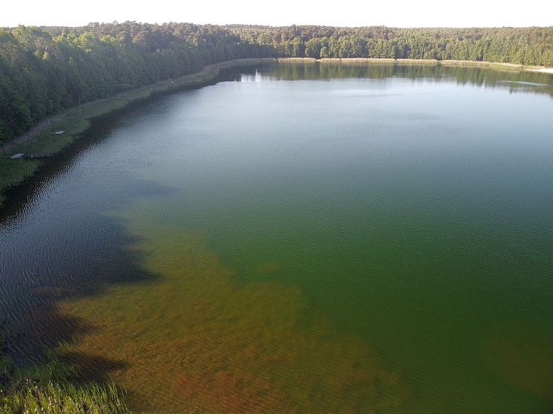 Plik:Dron-piaseczno-1rg.jpg