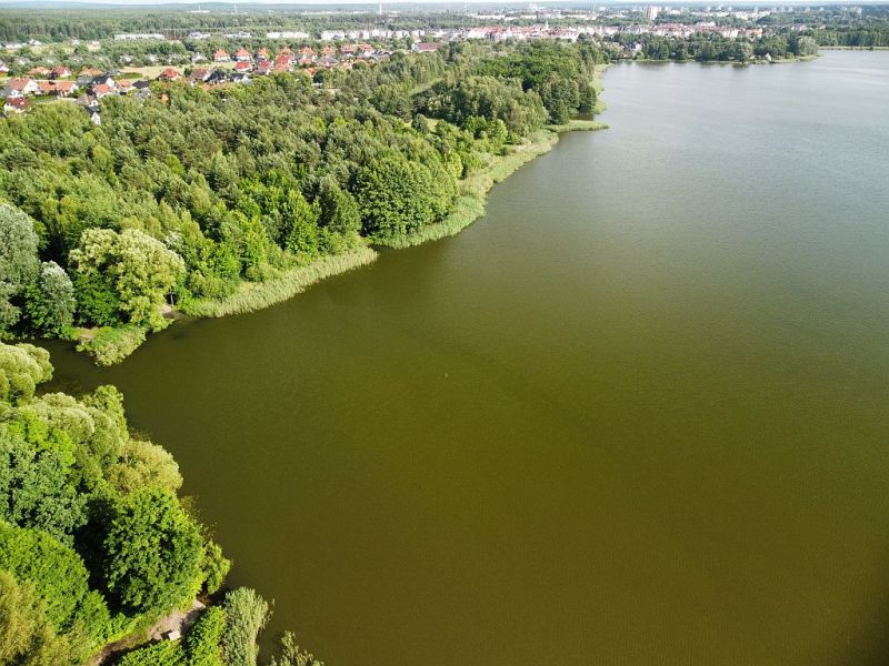 Plik:Dron-zalew-koszycki9rg.jpg
