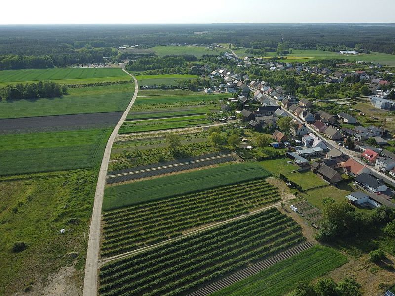 Plik:Dron-tarnowka-8rg.jpg