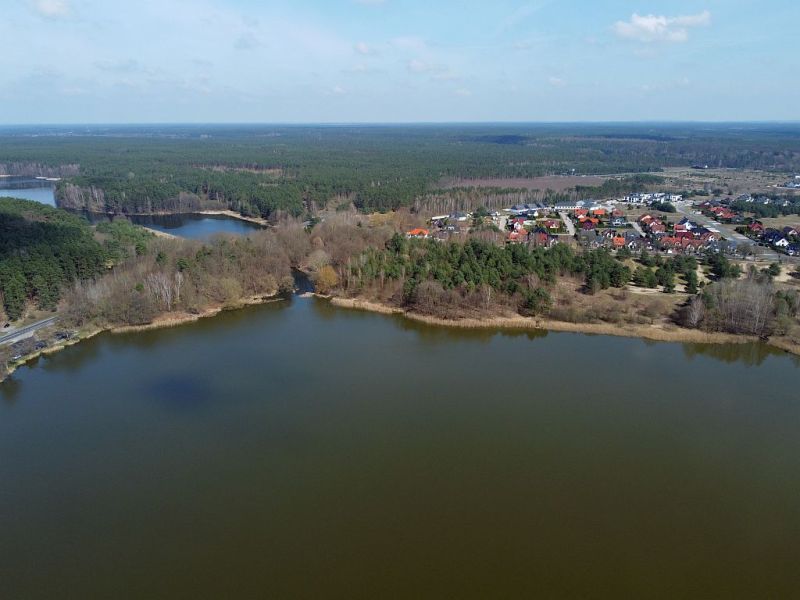 Plik:Dron-zalew-koszycki8rg.jpg