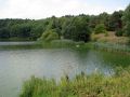 Zalew-koszycki9-rg.jpg