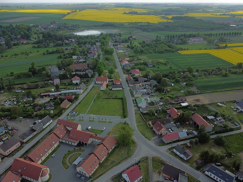 Plik:Dron-skrzatusz-3rg.jpg