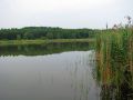 Jezioro-lachotka-8-rg.jpg
