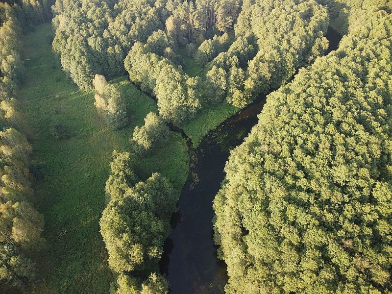 Plik:Dron-gwda-plytnica2rg.jpg