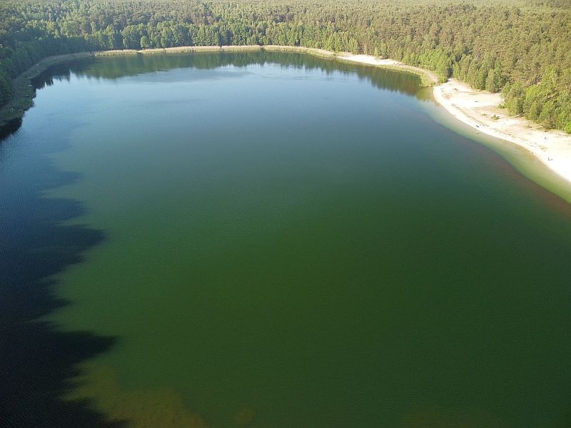 Plik:Dron-piaseczno-2rg.jpg