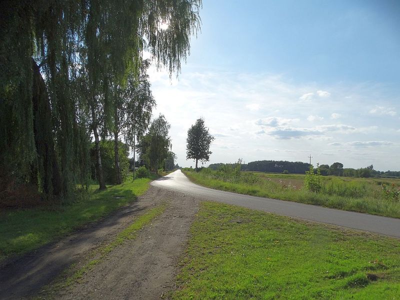 Plik:Smiardowo-krajenskie5rg.jpg