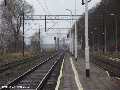 Lotyn-2012-800.gif