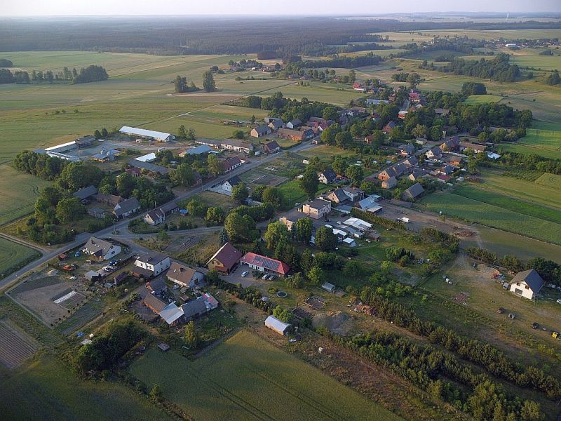 Plik:Dron-osowka-2rg.jpg