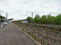 Pkp-zlotow14rg.gif