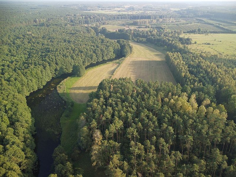 Plik:Dron-gwda-plytnica1rg.jpg