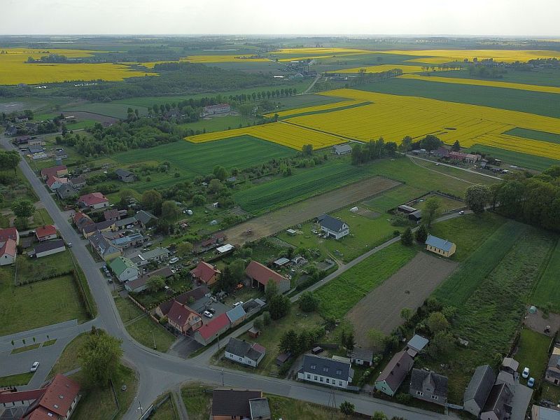 Plik:Dron-skrzatusz-13rg.jpg