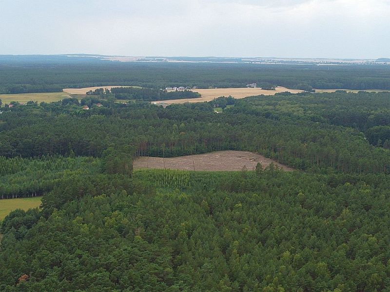 Plik:Dron-dobrzyca-17rg.jpg