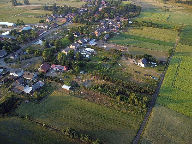 Plik:Dron-osowka-4rg.jpg