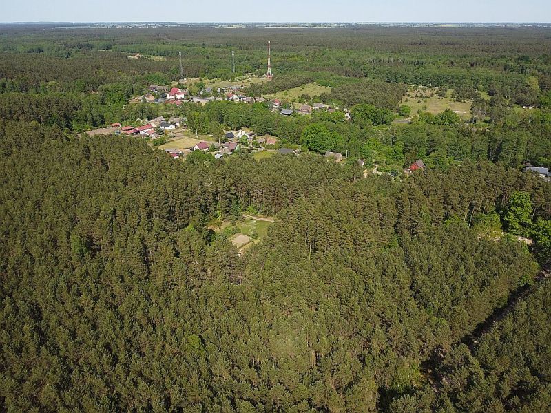 Plik:Dron-plytnica-6rg.jpg