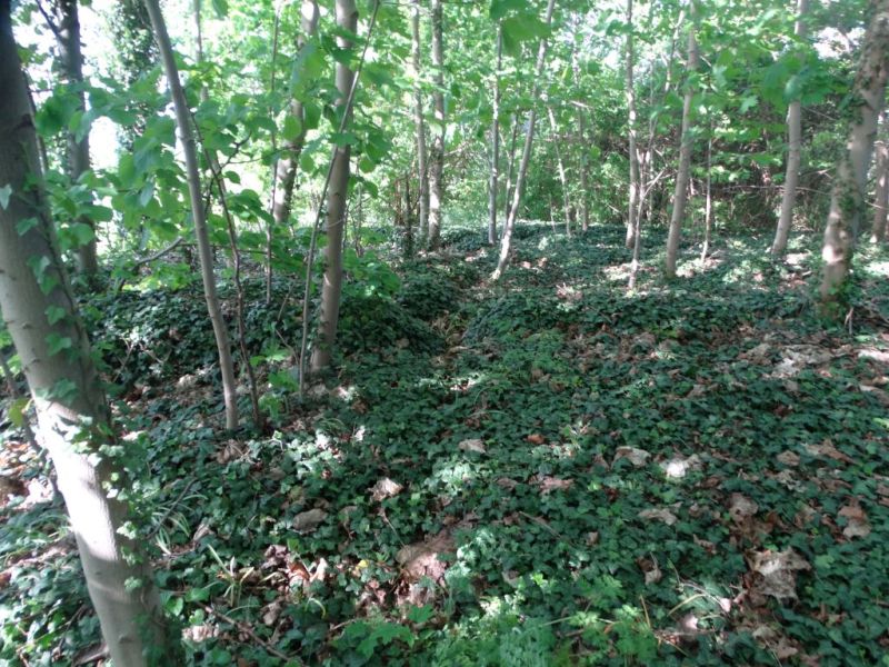 Plik:Rudna-stary-cementarz3rg.jpg