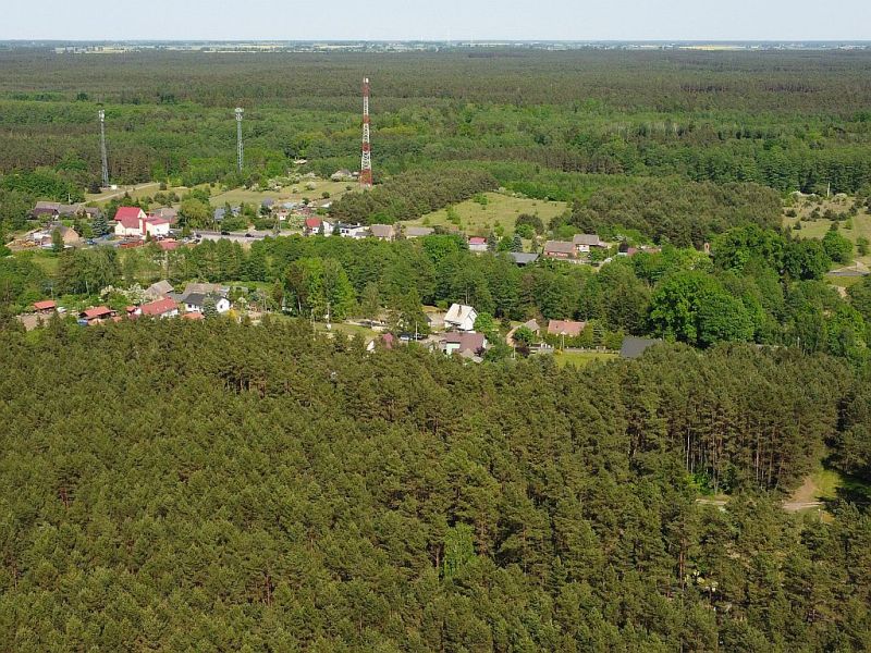 Plik:Dron-plytnica-1rg.jpg