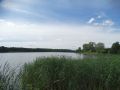 Jezioro-zlotowskie-miejskie-rg11.jpg