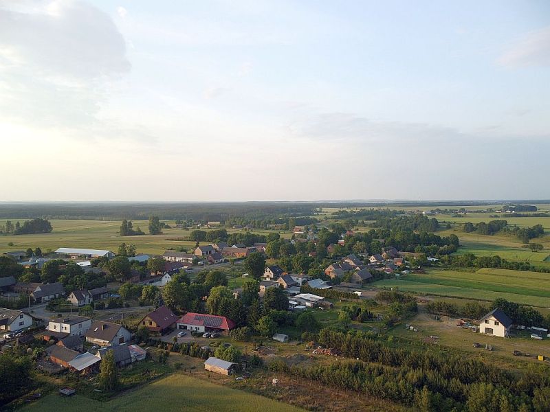 Plik:Dron-osowka-1rg.jpg