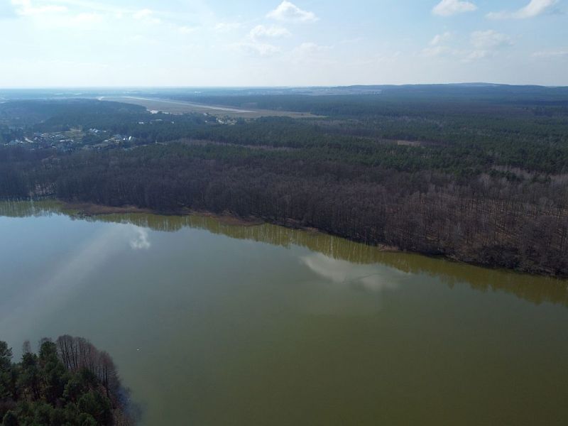 Plik:Dron-zalew-koszycki5rg.jpg