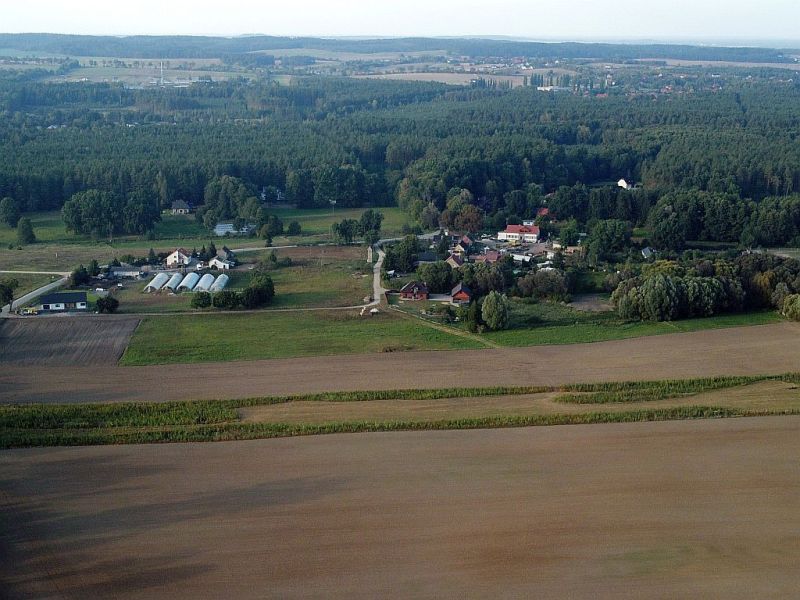 Plik:Dron-cyk-2rg.jpg