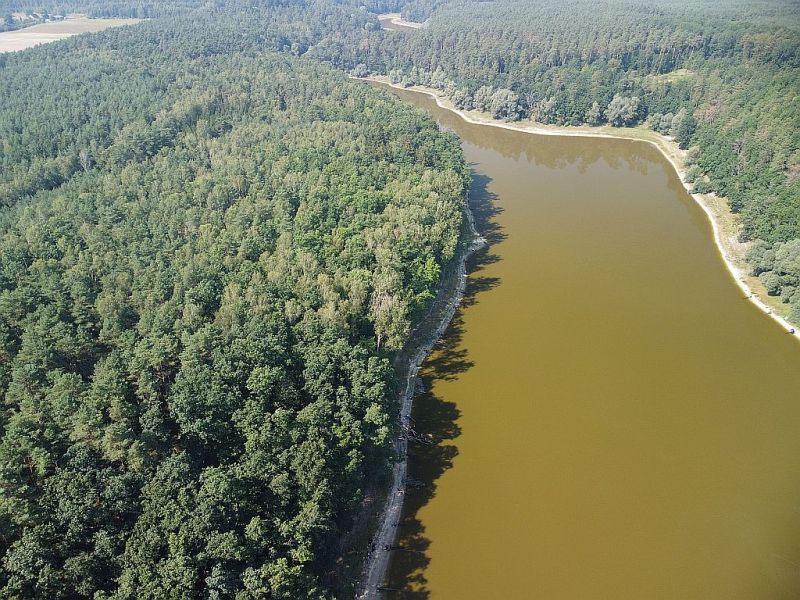 Plik:Dron-kopcze-2rg.jpg