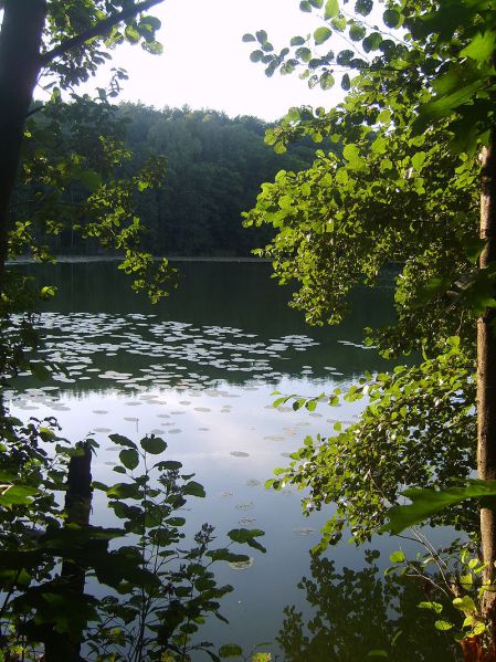 Plik:Jezioro-rudnickie800.jpg