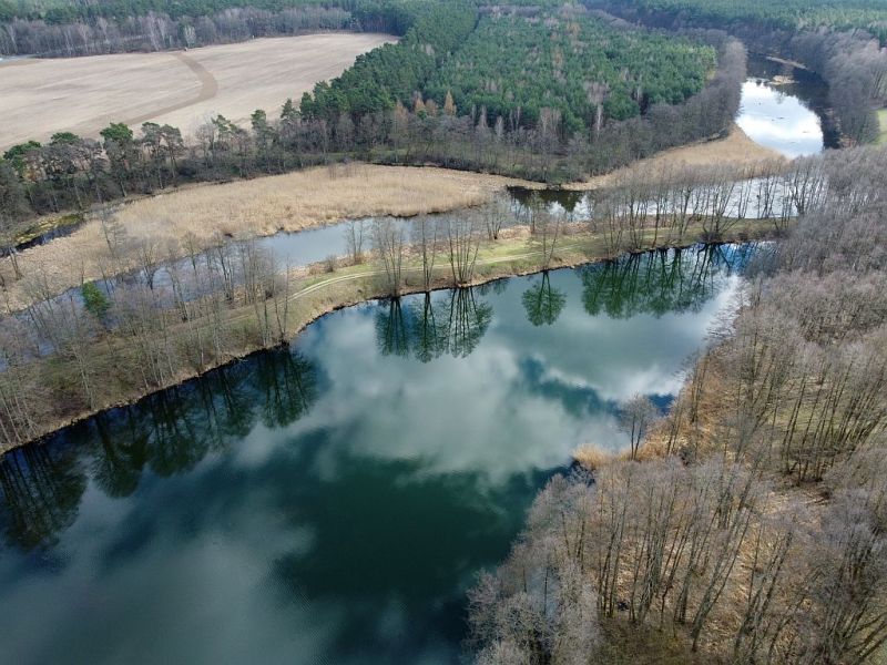Plik:Dron-zwirkowe9rg.jpg