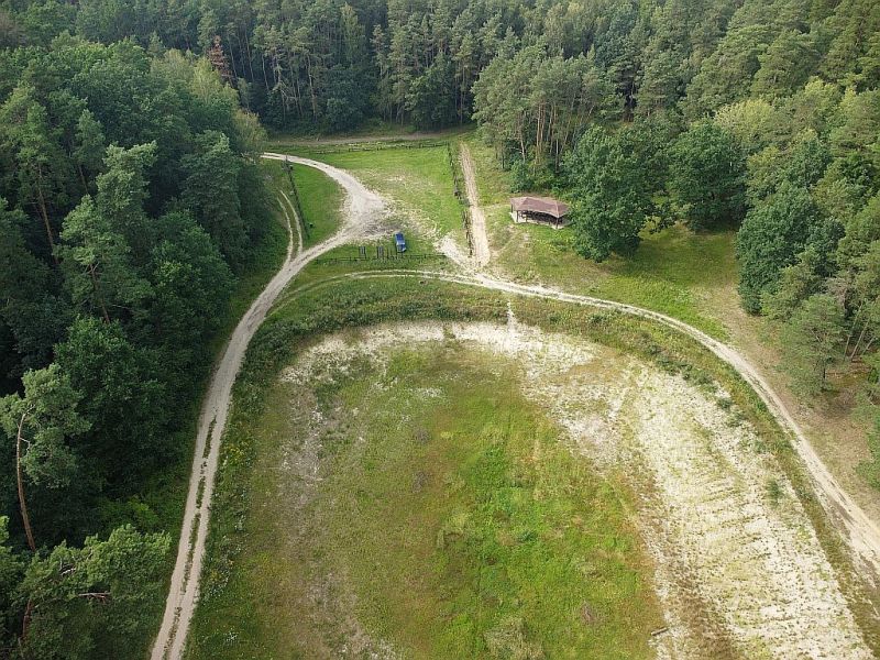 Plik:Dron-kopcze-8rg.jpg