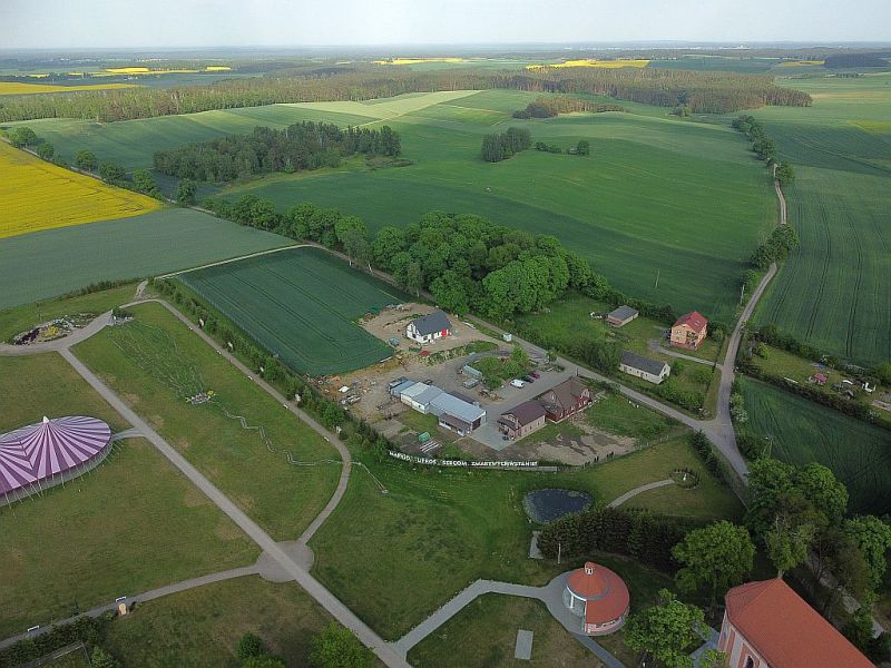 Plik:Dron-skrzatusz-12rg.jpg